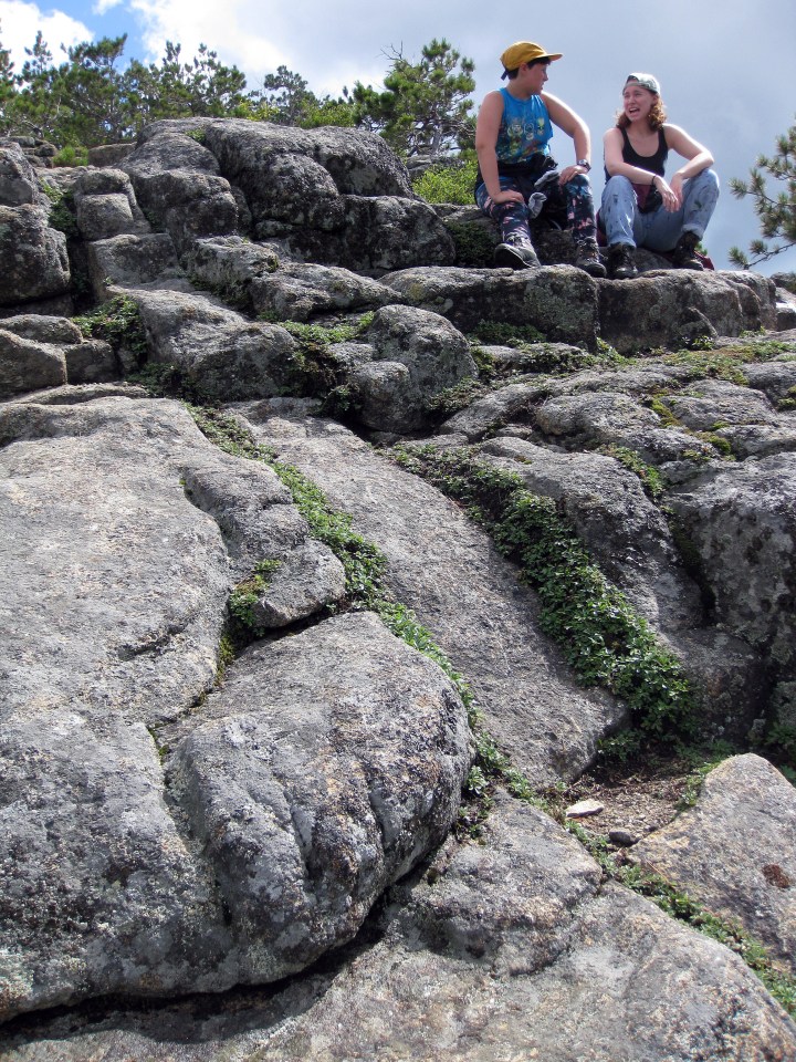 Owls Head Trail