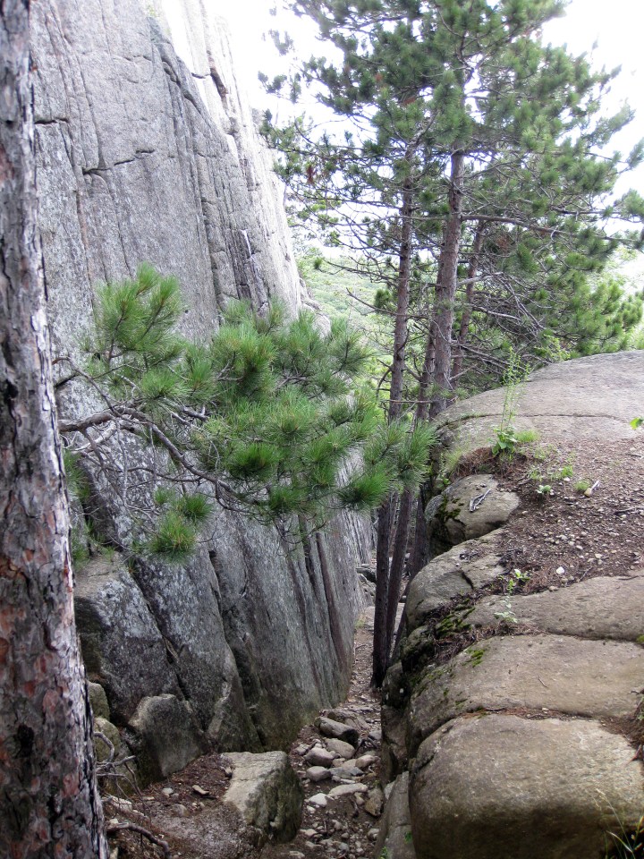 Owl's Head Climbing Wall