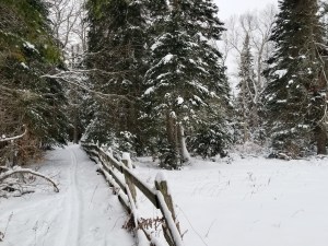 Take a quiet ski on your own first, then have some noisy fun with the kids.