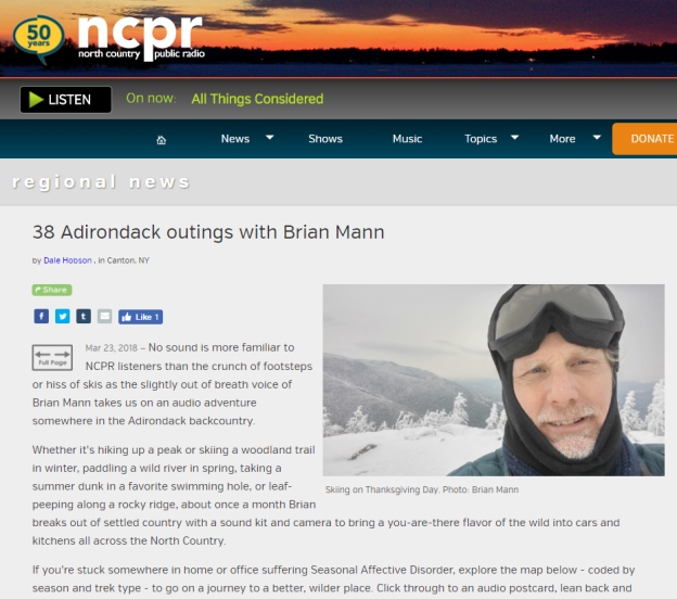 A screenshot of Brian Mann's Adirondack Outings page.